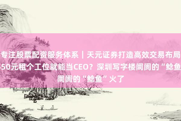 专注股票配资服务体系｜天元证券打造高效交易布局方案 650元租个工位就能当CEO？深圳写字楼阛阓的“鲶鱼”火了