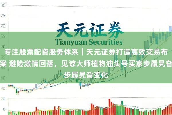 专注股票配资服务体系｜天元证券打造高效交易布局方案 避险激情回落，见谅大师植物油头号买家步履旯旮变化